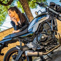 Egzoz ile uyumlu Kawasaki Z 650 RS 2021-2023, Satinox, Homologe edilmemiş dbkiller ile yarış sistemi Tam hat, susturucu artı toplayıcı 