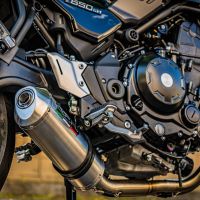 Egzoz ile uyumlu Kawasaki Z 650 RS 2021-2023, Satinox, Homologe edilmemiş dbkiller ile yarış sistemi Tam hat, susturucu artı toplayıcı 