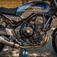 Egzoz ile uyumlu Kawasaki Z 650 RS 2021-2023, Satinox, Homologe edilmemiş dbkiller ile yarış sistemi Tam hat, susturucu artı toplayıcı 